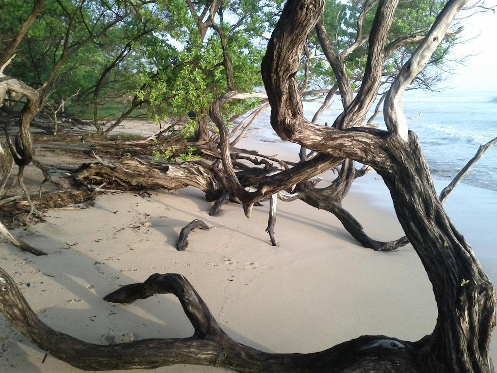 Cabinas Las Olas Playa Avellana Εξωτερικό φωτογραφία